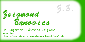 zsigmond banovics business card