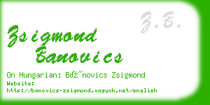 zsigmond banovics business card